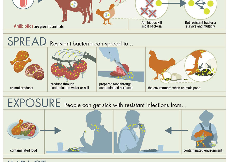 Skutki niewłaściwego i nadmiernego stosowania antybiotykoterapii